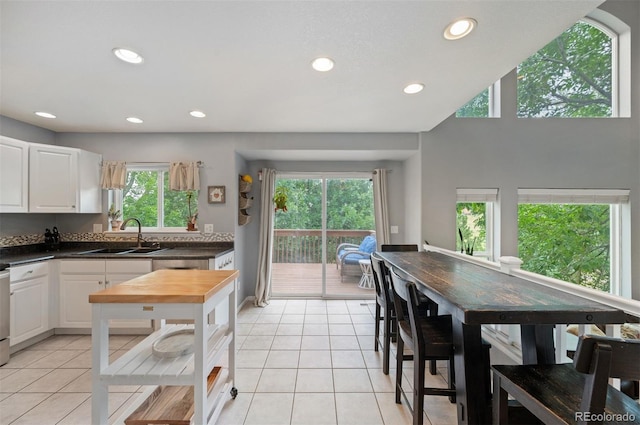 9024 Sanderling Way, Littleton, CO 80126 - photo 9