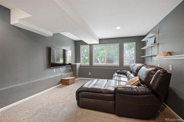 9024 Sanderling Way, Littleton, CO 80126 - photo 28