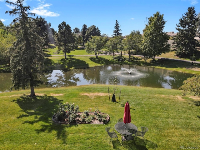 7000 E Quincy Ave Unit 302, Denver, CO 80237 - view of home's community with a water view and a lawn