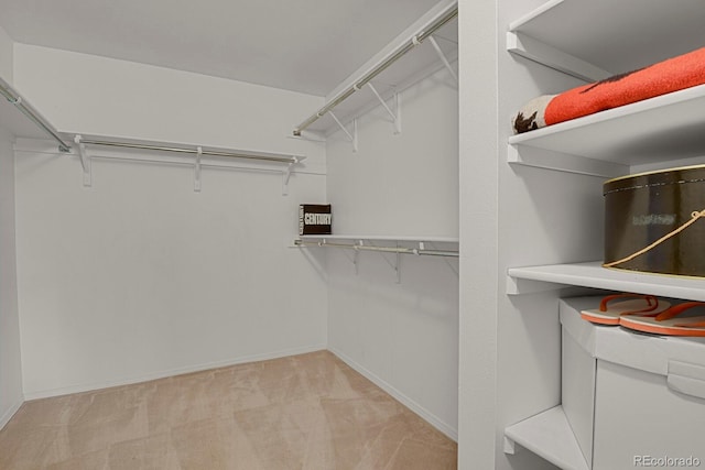 7000 E Quincy Ave Unit 302, Denver, CO 80237 - walk in closet featuring carpet flooring