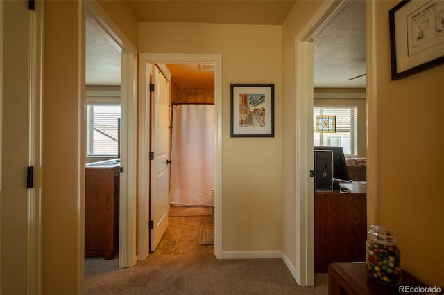10473 Table Rock Ct Unit E, Poncha Springs, CO 81242 - hallway with light carpet, a textured ceiling, and baseboards