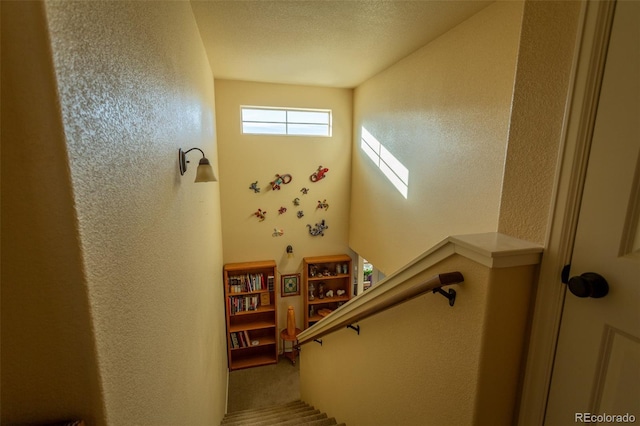 10473 Table Rock Ct Unit E, Poncha Springs, CO 81242 - staircase with carpet and a textured wall