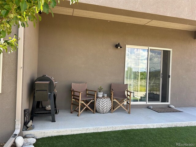 10497 Table Rock Ct, Poncha Springs, CO 81242 - view of patio / terrace featuring grilling area