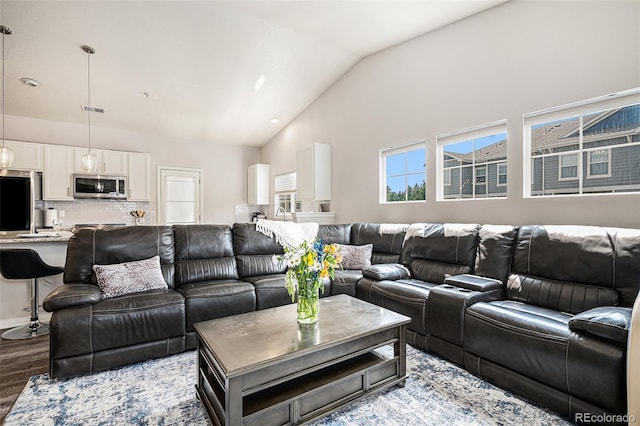 9434 Ashbury Cir Unit 204, Parker, CO 80134 - living area featuring wood finished floors and high vaulted ceiling