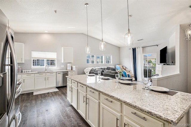 9434 Ashbury Cir Unit 204, Parker, CO 80134 - kitchen featuring stainless steel appliances, dark wood-style floors, healthy amount of natural light, open floor plan, and vaulted ceiling