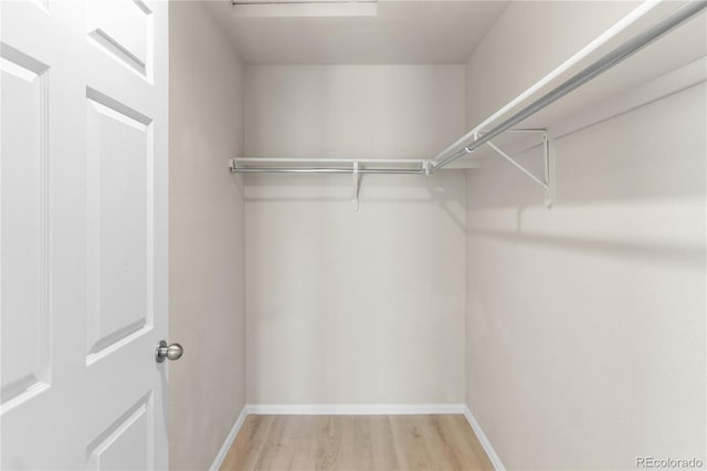 875 E 78th Ave Unit 21, Denver, CO 80229 - spacious closet with light wood-style flooring