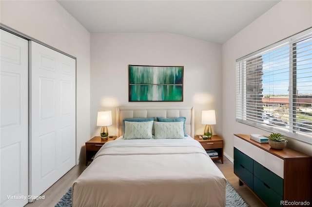 875 E 78th Ave Unit 21, Denver, CO 80229 - bedroom with light wood-style flooring, multiple windows, lofted ceiling, and a closet