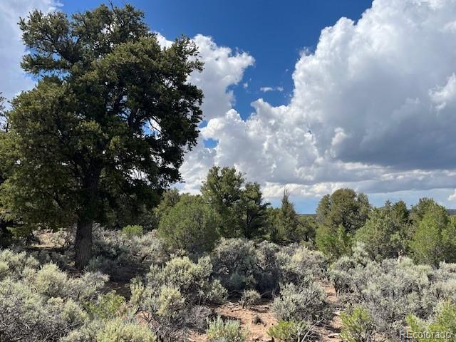 LOT15 Deer Park Trl, San Luis, CO 81152 - photo 1