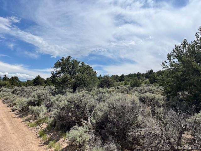 LOT15 Deer Park Trl, San Luis, CO 81152 - photo 2