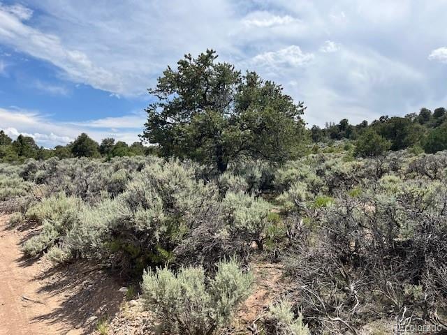 LOT15 Deer Park Trl, San Luis, CO 81152 - photo 3