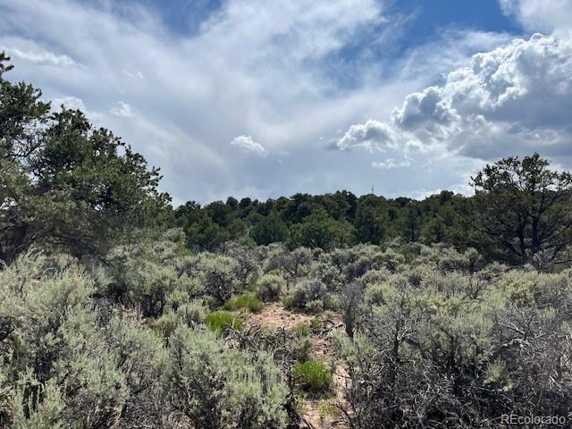 LOT15 Deer Park Trl, San Luis, CO 81152 - photo 4