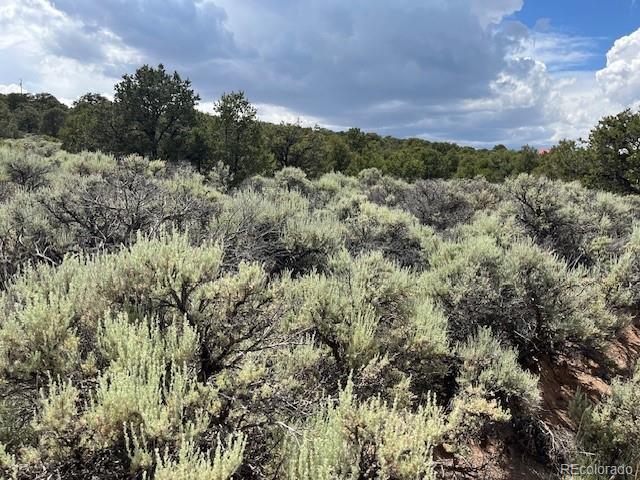 LOT15 Deer Park Trl, San Luis, CO 81152 - photo 5