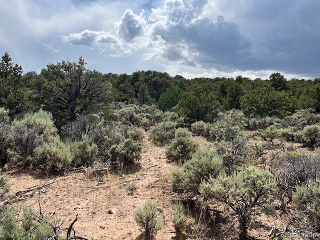 LOT15 Deer Park Trl, San Luis, CO 81152 - photo 6