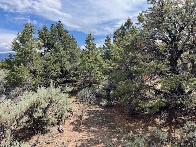 LOT15 Deer Park Trl, San Luis, CO 81152 - photo 8