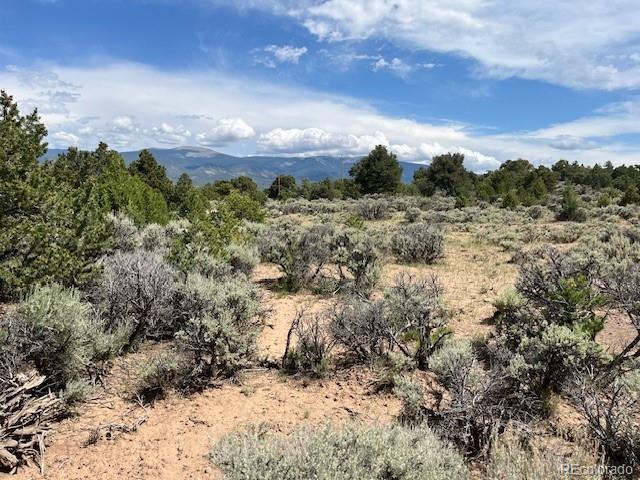 LOT15 Deer Park Trl, San Luis, CO 81152 - photo 9