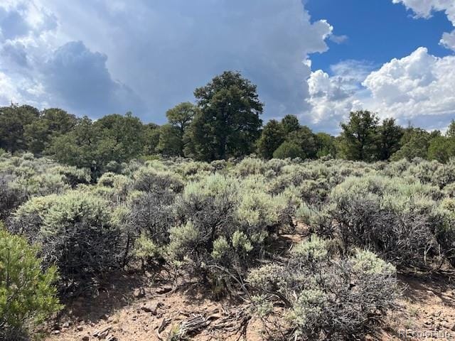 LOT15 Deer Park Trl, San Luis, CO 81152 - photo 10