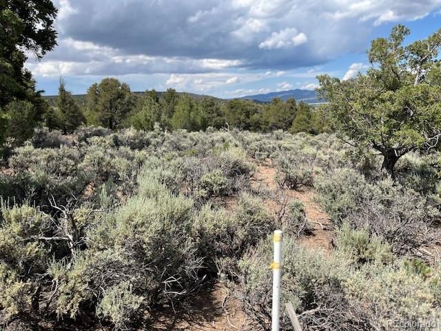 LOT15 Deer Park Trl, San Luis, CO 81152 - photo 12
