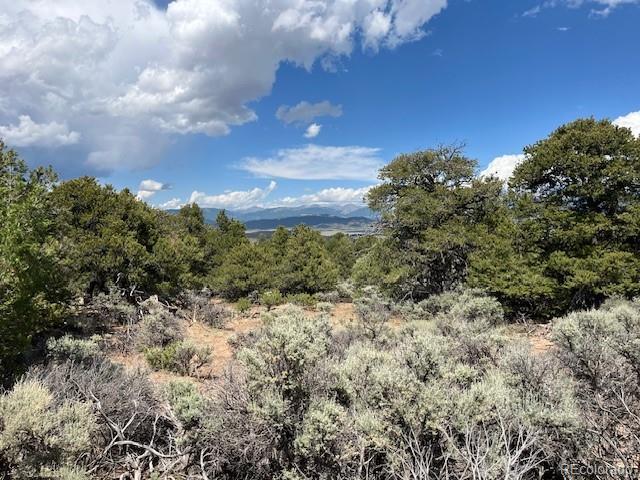 LOT15 Deer Park Trl, San Luis, CO 81152 - photo 14