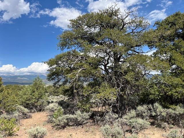 LOT15 Deer Park Trl, San Luis, CO 81152 - photo 15