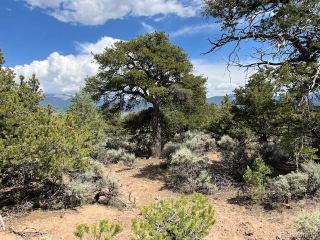 LOT15 Deer Park Trl, San Luis, CO 81152 - photo 16
