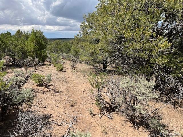LOT15 Deer Park Trl, San Luis, CO 81152 - photo 17