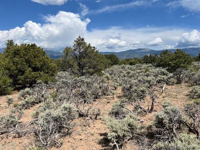 LOT15 Deer Park Trl, San Luis, CO 81152 - photo 18
