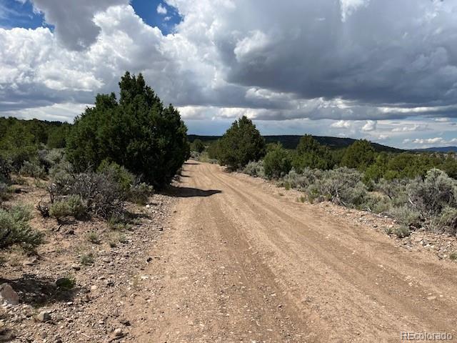 LOT15 Deer Park Trl, San Luis, CO 81152 - photo 19