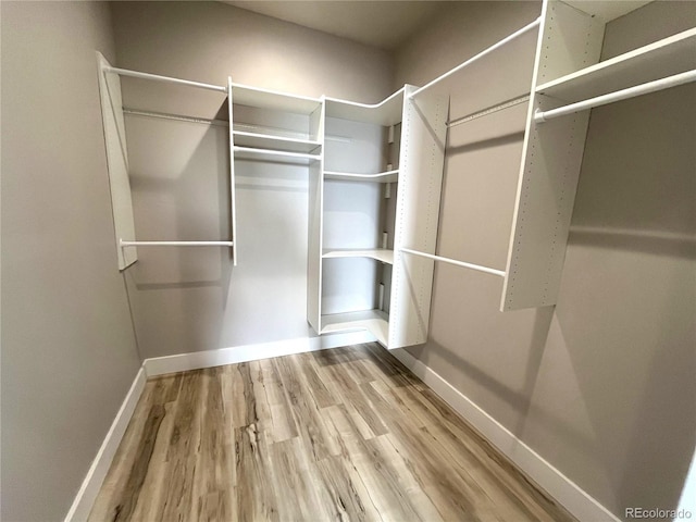 walk in closet with hardwood / wood-style flooring