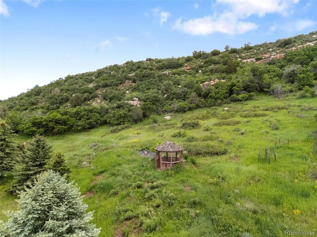 5979 Willow Springs Dr, Morrison, CO 80465 - photo 4