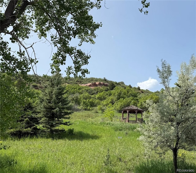 5979 Willow Springs Dr, Morrison, CO 80465 - photo 32