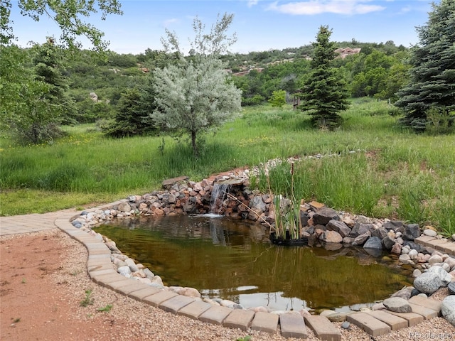 5979 Willow Springs Dr, Morrison, CO 80465 - photo 33