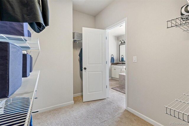 walk in closet featuring a sink and carpet flooring