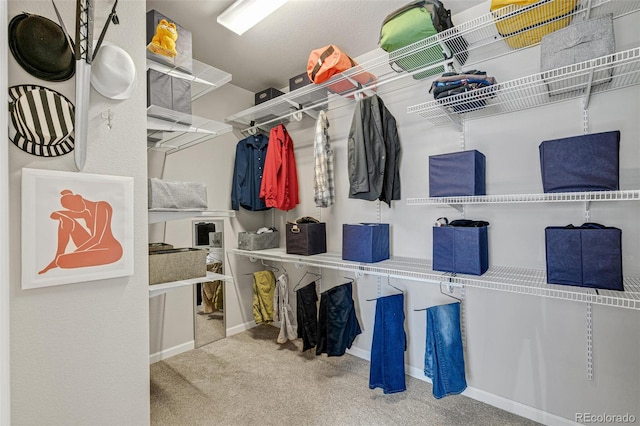 walk in closet featuring carpet floors