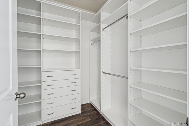 spacious closet with dark wood-style flooring