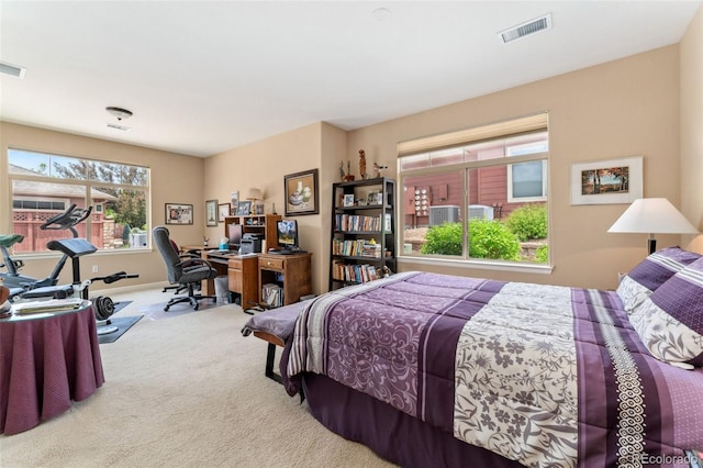 8595 Gold Peak Dr Unit A, Highlands Ranch, CO 80130 - carpeted bedroom with a desk