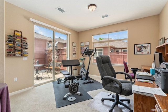 8595 Gold Peak Dr Unit A, Highlands Ranch, CO 80130 - office area with carpet and baseboards
