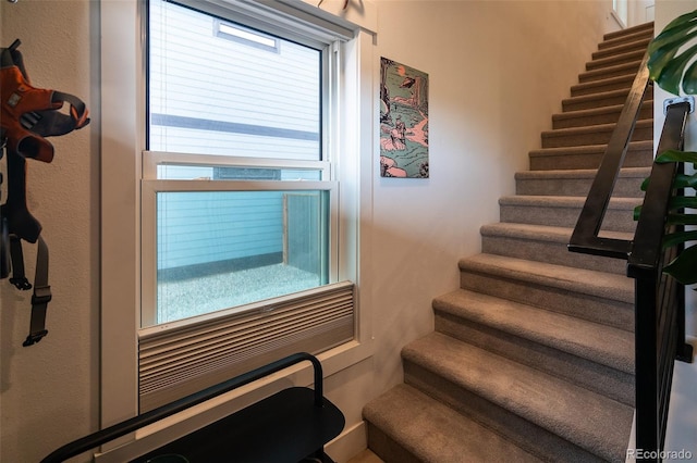 10505 Engelmann Ave, Salida, CO 81201 - photo 16