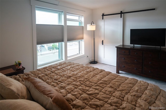 10505 Engelmann Ave, Salida, CO 81201 - photo 23