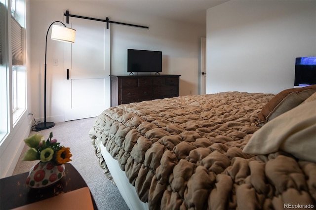 10505 Engelmann Ave, Salida, CO 81201 - photo 24