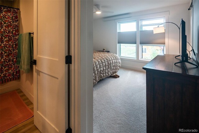 10505 Engelmann Ave, Salida, CO 81201 - photo 25