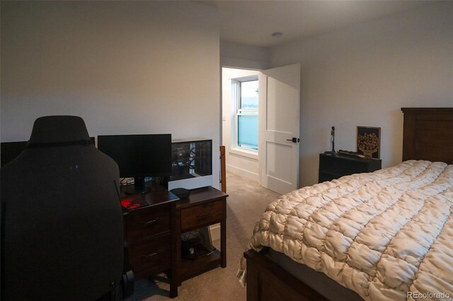 10505 Engelmann Ave, Salida, CO 81201 - photo 21