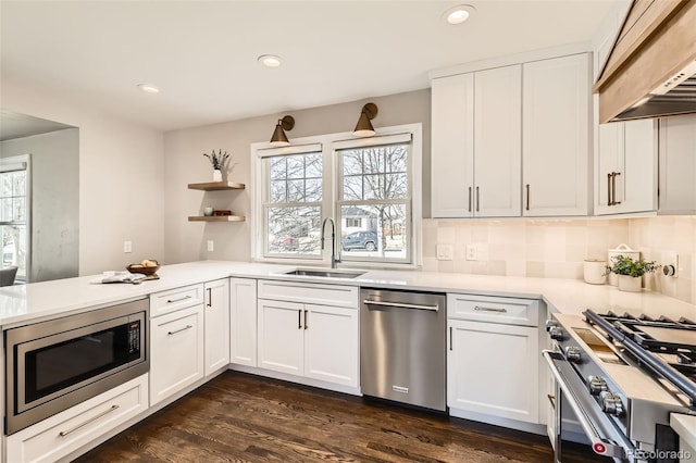 kitchen featuring a sink, custom range hood, a wealth of natural light, and stainless steel appliances