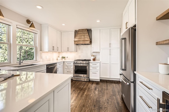 kitchen with light countertops, high end appliances, premium range hood, and a sink