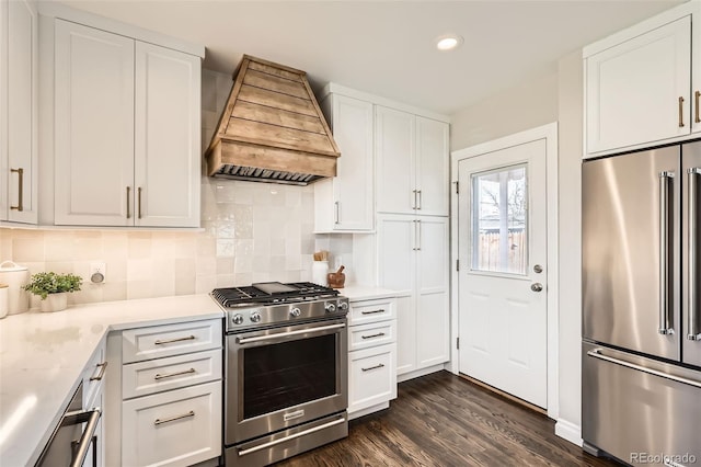 kitchen with light countertops, premium range hood, backsplash, and stainless steel appliances