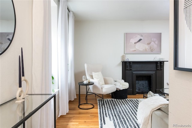 sitting room featuring hardwood / wood-style flooring