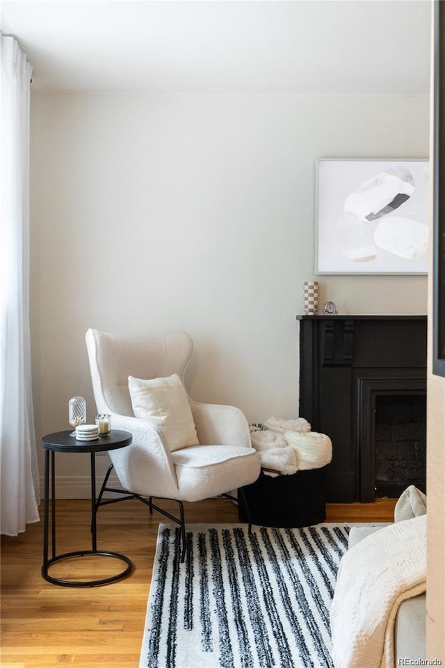 living area featuring wood-type flooring