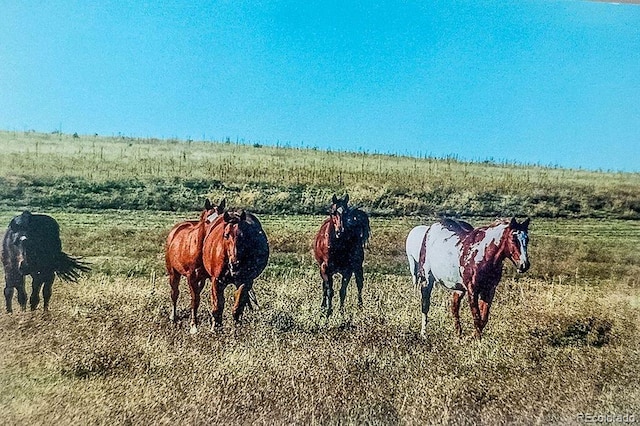 view of horse barn with a rural view