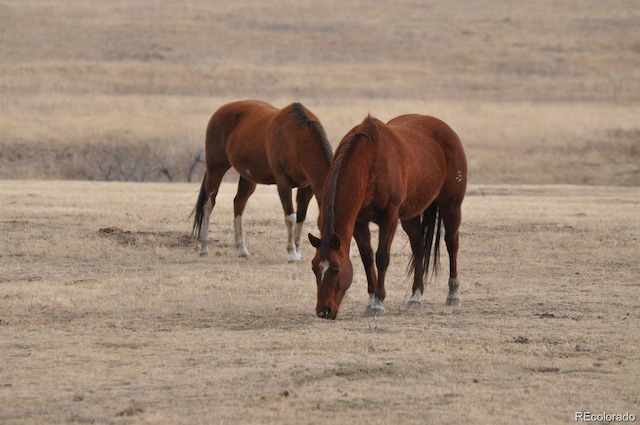 view of stable