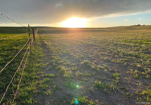6597 S State Highway 83, Franktown, CO 80116 - photo 6