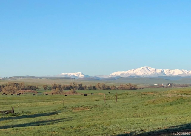 6597 S State Highway 83, Franktown, CO 80116 - photo 11